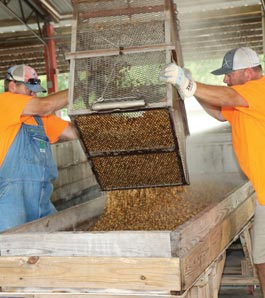 dos trabajadores